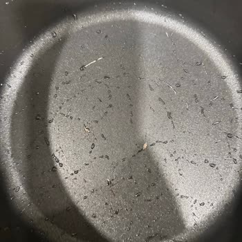 Schneller Verschleiß beim Karaca Bio Diamond Topfset trotz 10-Jahres-Garantie