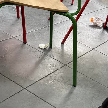 Burger King Şubesinde Hayvanlarla Kirli Ortam Ve Hijyen Sorunları
