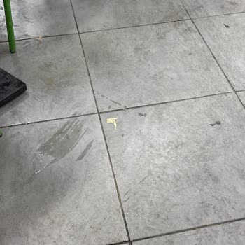 Burger King Şubesinde Hayvanlarla Kirli Ortam Ve Hijyen Sorunları