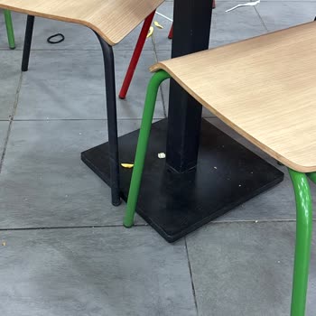 Burger King Şubesinde Hayvanlarla Kirli Ortam Ve Hijyen Sorunları