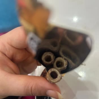 Twix Crispy Rolls'ta Kremasız Dolgu İddiası