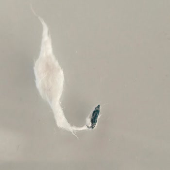 Bebek Temizleme Pamuğunda Fare Dışı Cisim Bulundu Sağlık Endişesi Ve Acil İnceleme