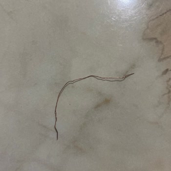 Superfresh Ürünün İçinde Bulunan Metal Tel Gıda Güvenliğini Tehdit Ediyor