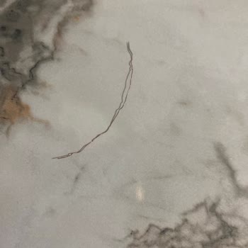 Superfresh Ürünün İçinde Bulunan Metal Tel Gıda Güvenliğini Tehdit Ediyor