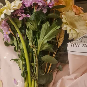 Bambu Çiçek Belirtilen Çiçek Sayısından Daha Az Çiçek Gönderildi