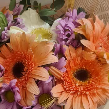Bambu Çiçek Belirtilen Çiçek Sayısından Daha Az Çiçek Gönderildi