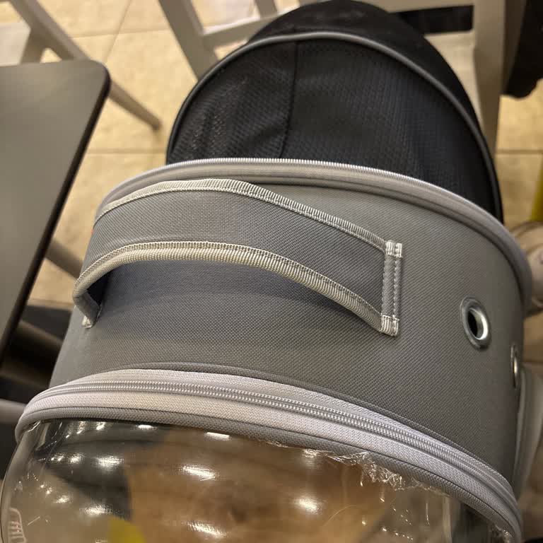 Köfteci Yusuf'ta Kapalı Çanta İçindeki Kedim Nedeniyle Ayrımcılık