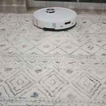 Roborock S8 Pro Halıda Zıplama Sorunu
