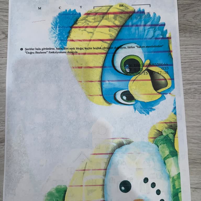 Magenta Renk Sorunu Ve Garanti Dışı Ücret Talebi