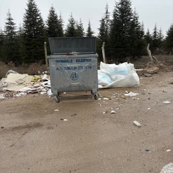 Konteyner Çevresi Temizlenmediği İçin Görsel Kirlilik Ve Hijyen Endişesi