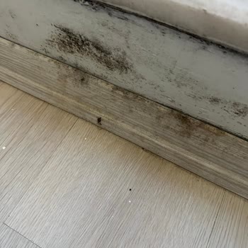 Aksigorta Haksız Red Ve Ödeme İhmaline Karşı Şikayet