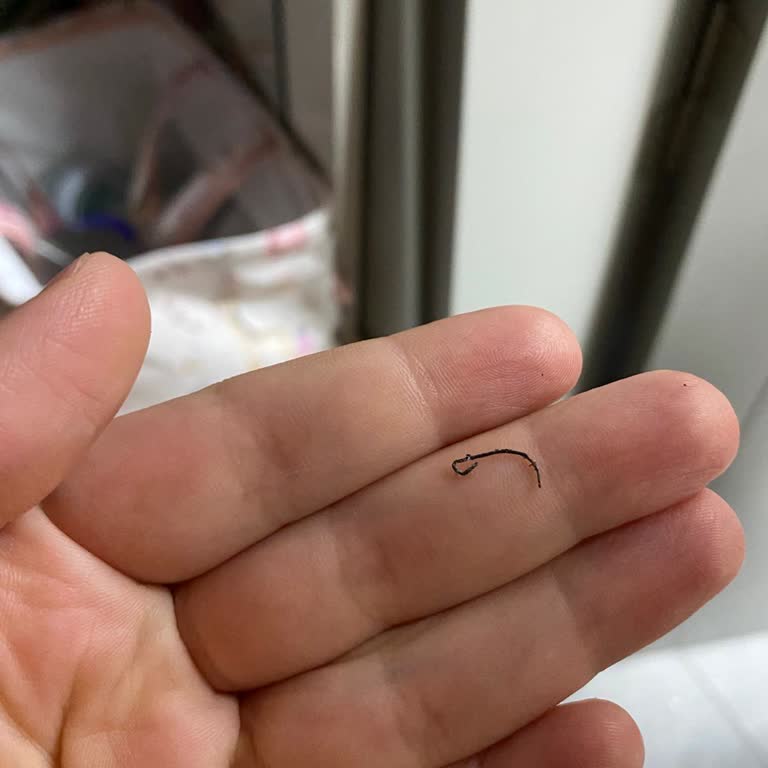 Yüz Sabununda Tel Bulunması Ve Çiziklerin Tazmini