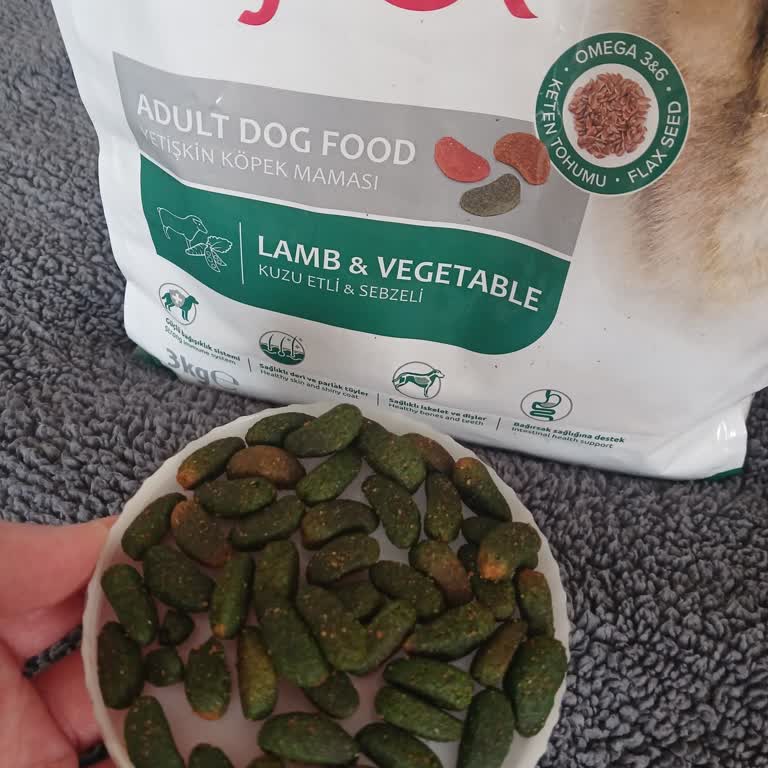 Reflex Köpek Mamasında Sahte Boya Ve Alerjik Reaksiyon