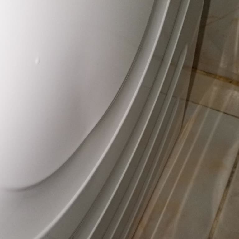 Bosch Çamaşır Makinesinde Sahte Teslimat İmzası Ve Göçük