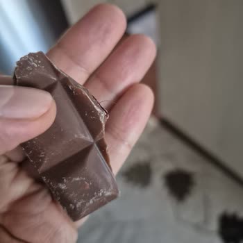 Harras Çikolatasında Kıl Tespiti Gıda Güvenliğine Yönelik Şikayet