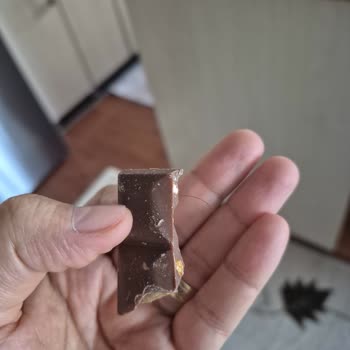 Harras Çikolatasında Kıl Tespiti Gıda Güvenliğine Yönelik Şikayet