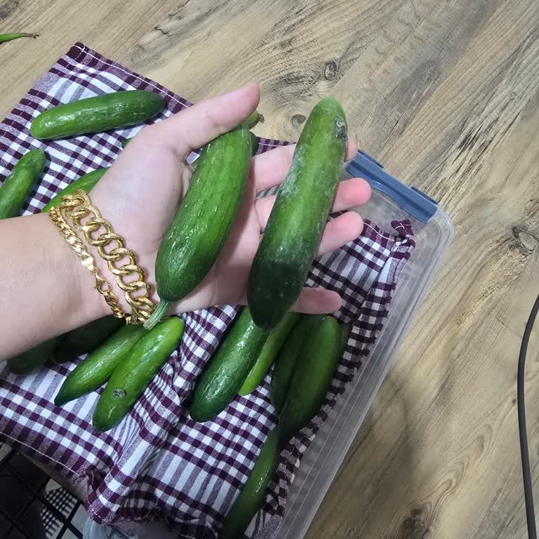 Samsung Buzdolabım Gıdaları İki Gün İçinde Bozuluyor Garanti Kapsamında Onarım Talep Ediyorum