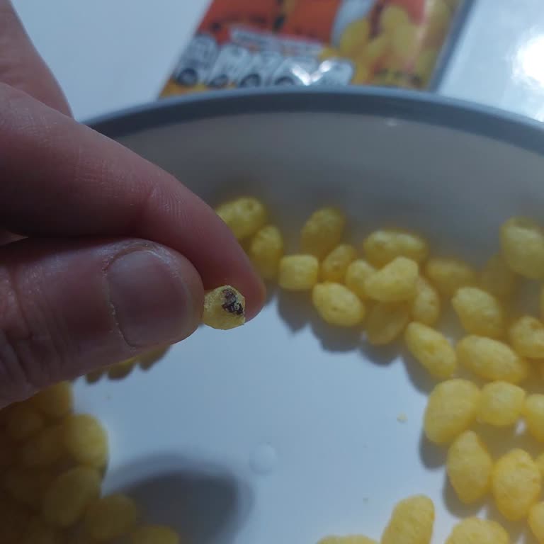 Mini Cheetos Shots Paketi İçinde Böcek Kurusu Bulundu