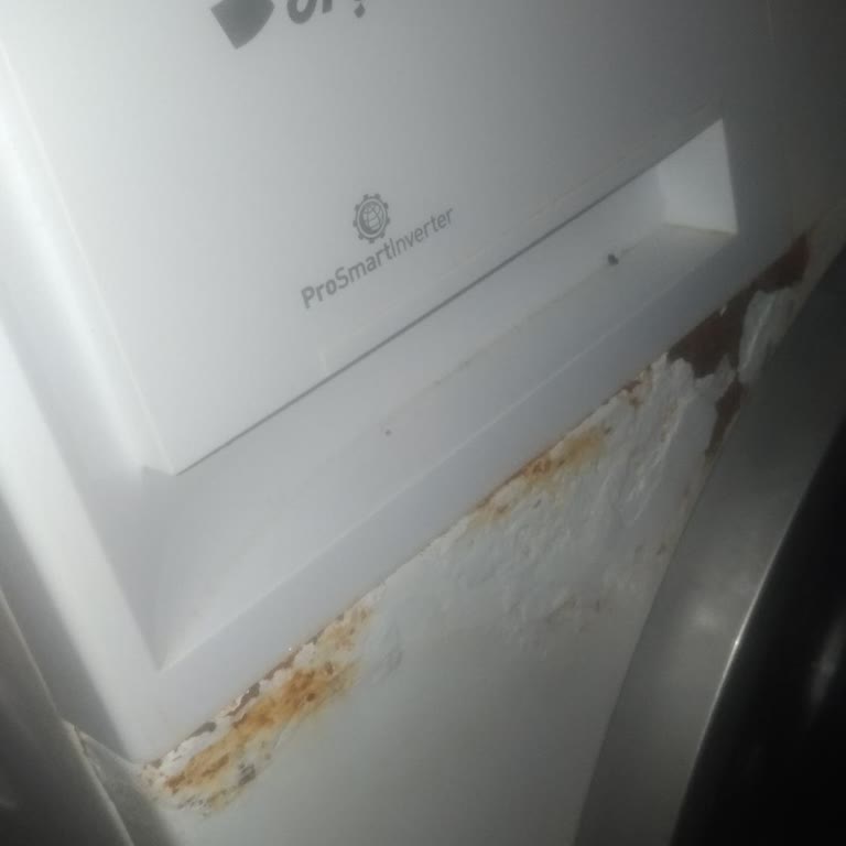 Arçelik Çamaşır Makinesinde Erken Başlayan Paslanma Problemi