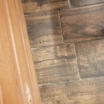 Köftecide Böcek Bulunması Ve Personelin Özürsüz Tutumu