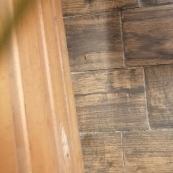 Köftecide Böcek Bulunması Ve Personelin Özürsüz Tutumu