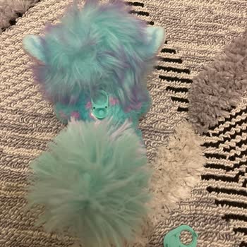 Magic Mixies Sihirli Kazan Çalışmıyor, 5.500 TL'lik Ürün Çöpe Dönüştü