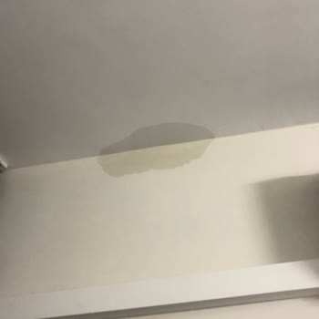 Şanlıurfa Güneyşehir'de Depremzede Konutta Su Sızıntısı Ve Nem, İnşaat Firmasından Çözüm Bekleniyor