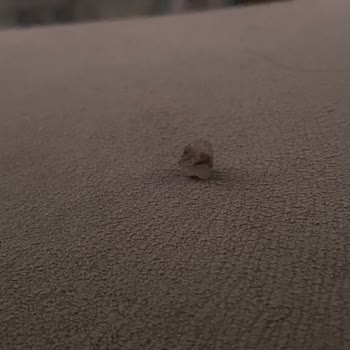 Kuruyemişte Taş Çıktı, Getir'de Sağlık Ve Diş Riski