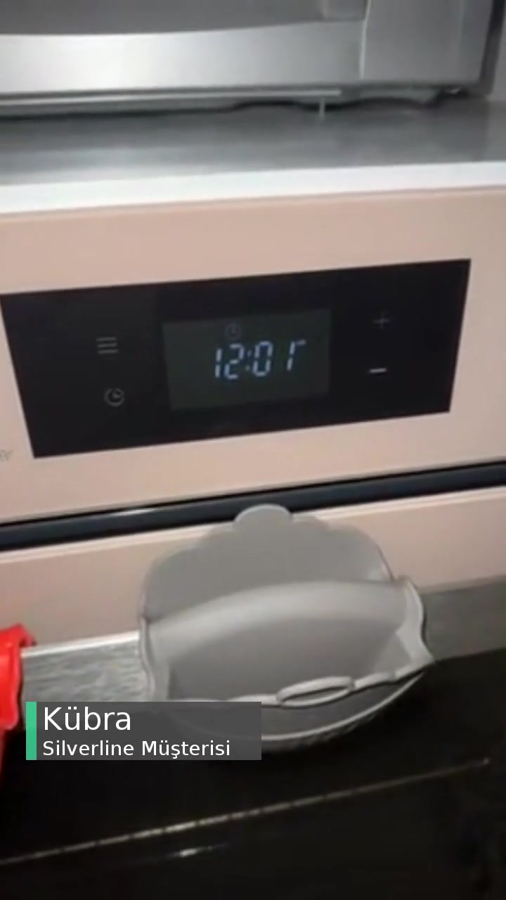 Silverline Fırın 😞 DIT DIT Sesi Bıktık Vallahi videonun kapak resmi