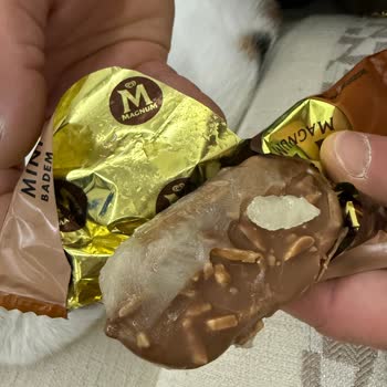 Algida Magnum Mini Badem Dondurması Yağlı Ve Ekşi Çıktı Gıda Güvenliği Şikayeti