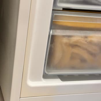 Bosch Buzdolabındaki Paslanma Ve Sararma Sorunu Ve Servis Tutarsızlığı