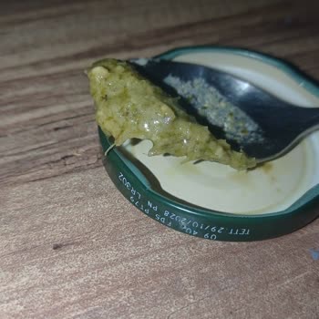 Pastavilla Pesto Sosunda Sentetik İplik Ve Kedi Tüyü Sağlık Riski