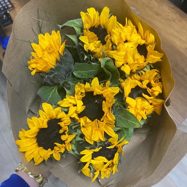 Solmuş Çiçekler, Görsel Uyum Yok, Çözüm Sunulmadı