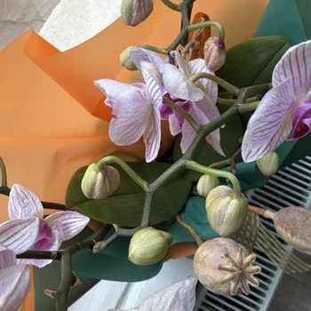 915 TL Ücretli Ölmüş Çiçek Gönderimi İade Talebi