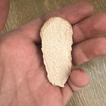Vivense Köşe Koltukta Çökme Ve Kırılma, Destek Almada Kaba Tutum