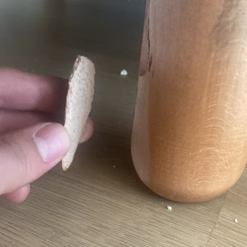 Vivense Köşe Koltukta Çökme Ve Kırılma, Destek Almada Kaba Tutum