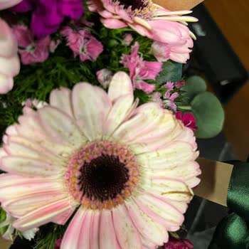 Bozuk Çiçekler Ve Yayınlanmayan Yorum: Çiçek Sepeti'nde Çözüm Bekliyorum