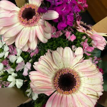 Bozuk Çiçekler Ve Yayınlanmayan Yorum: Çiçek Sepeti'nde Çözüm Bekliyorum