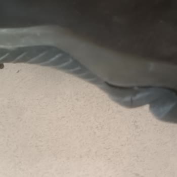 Scooter Ayakkabı Tabanın Neredeyse Paramparça Olduğunu Görünce Şok Oldum