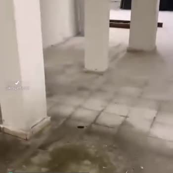 Telsiz Mah TOKİ'nin Hali!