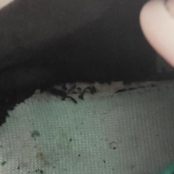 Kısa Sürede Çatlayan Ayakkabının İç Astarı Yırtıldı, Ayağımda Yara Oluştu