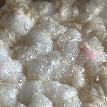 Gong Yoğurt Kaplamalı Pirinç Patlağında Kıl Bulunması Güvenimi Sarsıyor