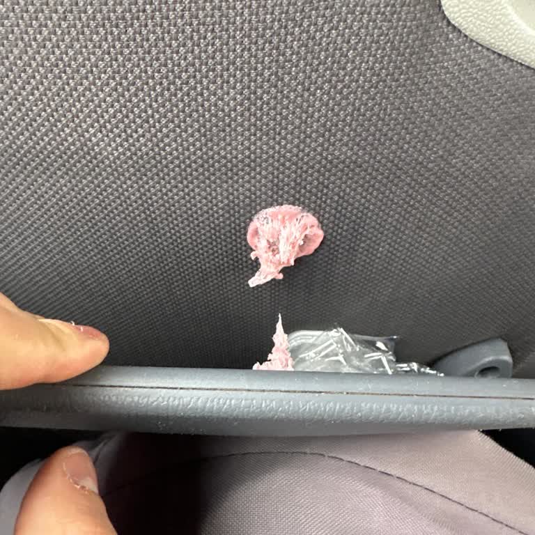 Biletteki Araç Modeli Ve 2+1 Koltuk Yanıltması, Gecikme Ve Hijyen Şikayeti