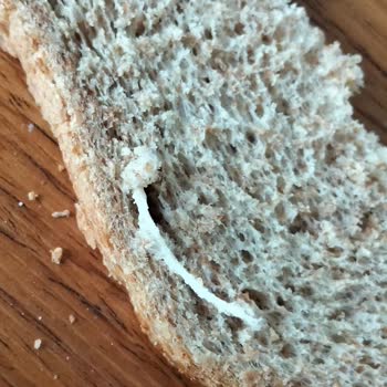 İzmir Girne BİM Şubesinde Satın Alınan Ekmekte Mum İpi Benzeri Yabancı Cisim Ve Sağlık Riski