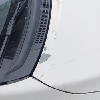 Toyota Corolla Tavan Boyası Sorunu İçin Uzun Bekleme Süreci Ve Acil Çözüm Talebi