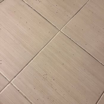 Mağaza Teslimat Seçeneğinin Yanıltıcı İşleyişi Ve Defolu Ürün Şikayeti