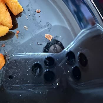 Böcek Larvası İçeren Patates Kızartması Ve Hijyen İhmaline Karşı Şikayet