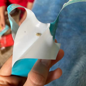 Bebeto Pick And Mix Paketi İçinde Canlı Kurt: Hijyen Ve Kalite Kontrol Şikayeti