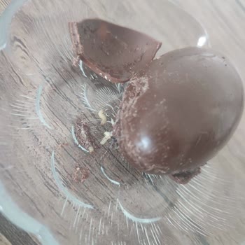 Gebze Kantininde Kurtlu Sürpriz Yumurta, Hijyen Ve Sağlık Endişesi