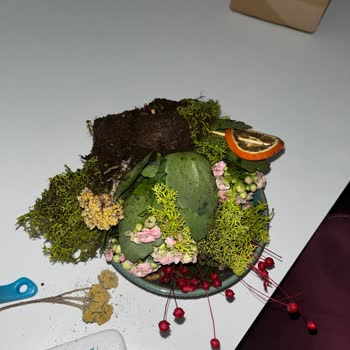 Devrilen Ve Hasarlı Saksı Çiçeği İçin Ücret İadesi Talebi